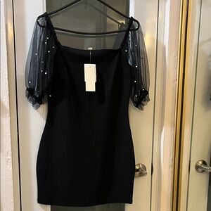 Elegant Black Dress with Sheer Sleeves